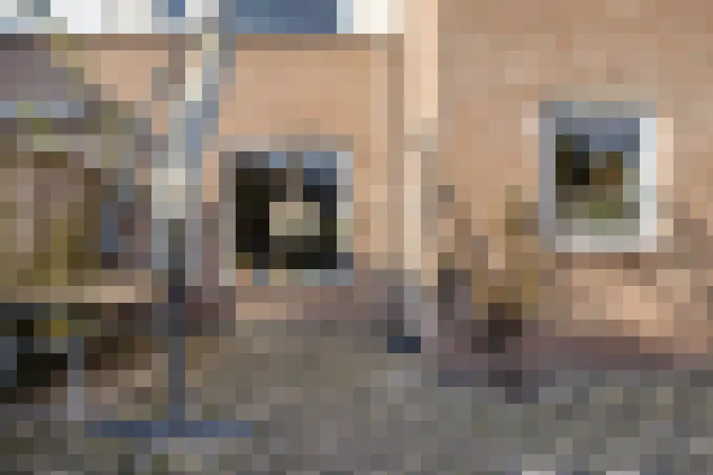 Marenberg 11 Veldhoven thumbnail 17
