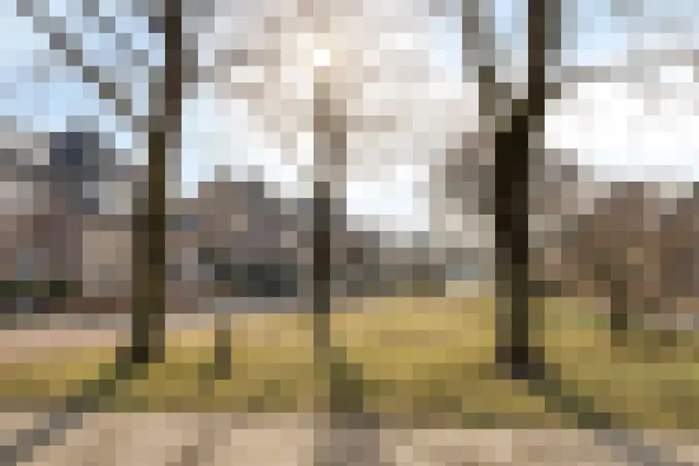 Marenberg 11 Veldhoven thumbnail 30