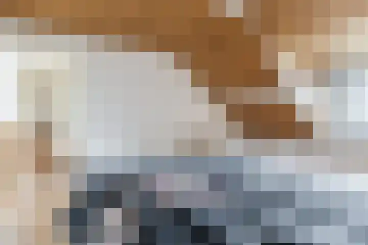 Marenberg 21 Veldhoven thumbnail 14