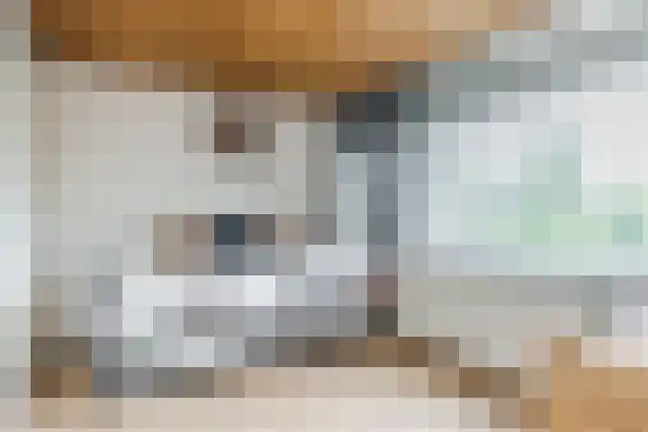 Marenberg 21 Veldhoven thumbnail 15