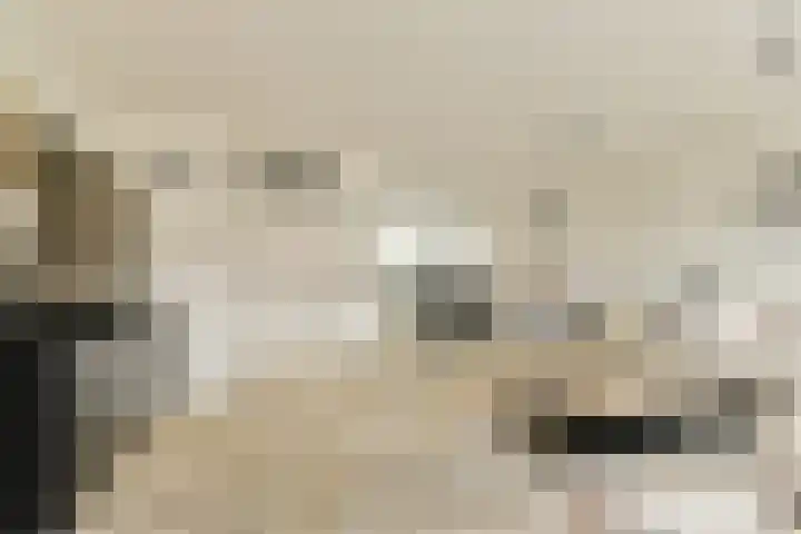 Marendijkpoldersingel 23 Gouda thumbnail 10