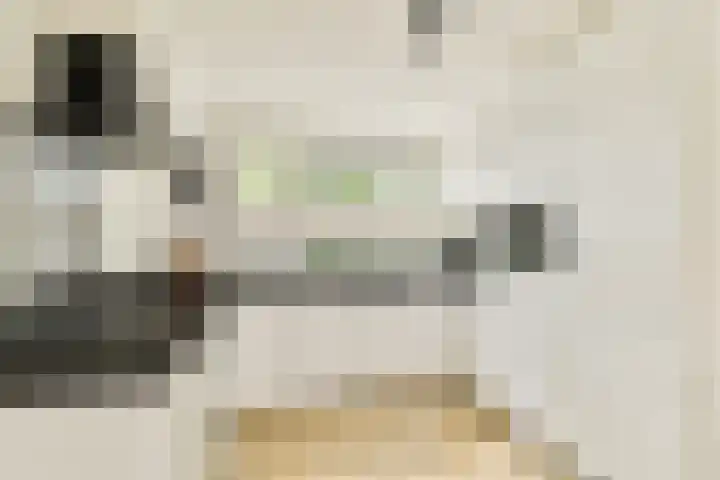 Marendijkpoldersingel 23 Gouda thumbnail 13