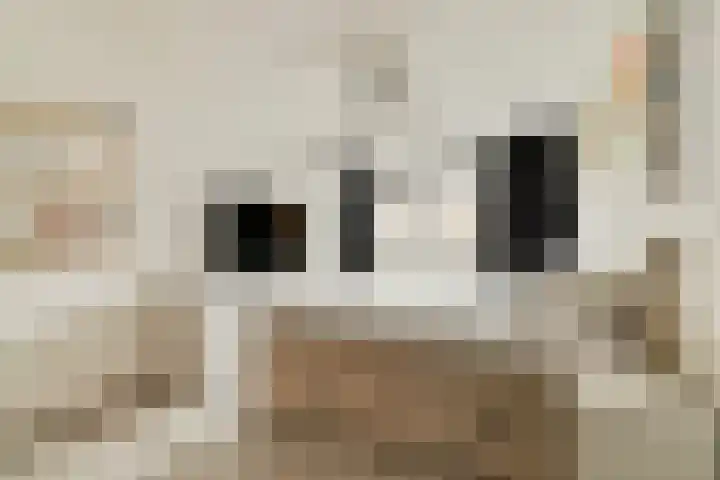 Marendijkpoldersingel 23 Gouda thumbnail 16