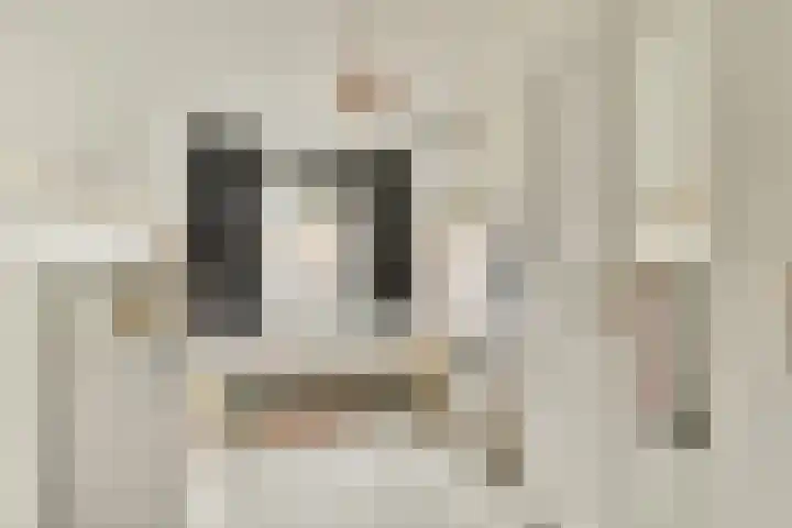 Marendijkpoldersingel 23 Gouda thumbnail 20