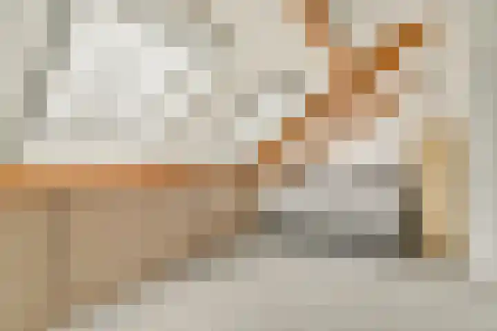 Marendijkpoldersingel 23 Gouda thumbnail 29