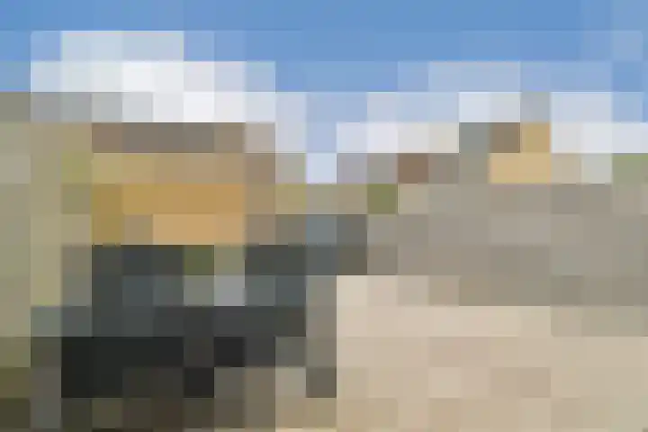 Marendijkpoldersingel 23 Gouda thumbnail 32
