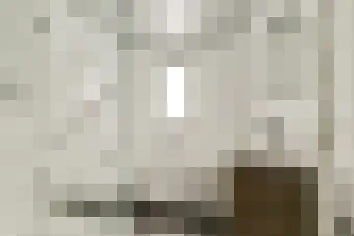 Marendijkpoldersingel 23 Gouda thumbnail 4