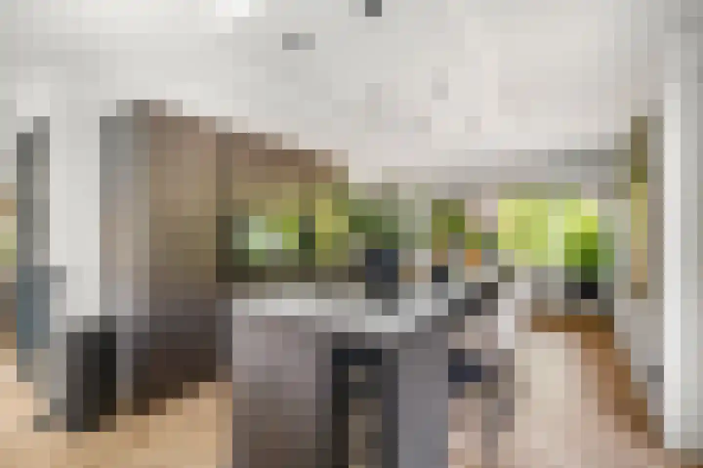 Marene 11 Tiel thumbnail 15