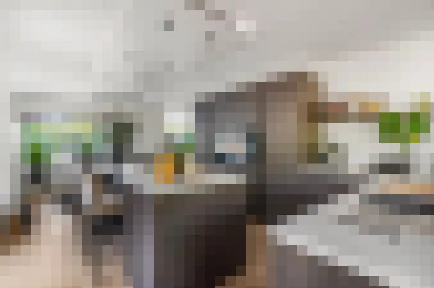 Marene 11 Tiel thumbnail 17