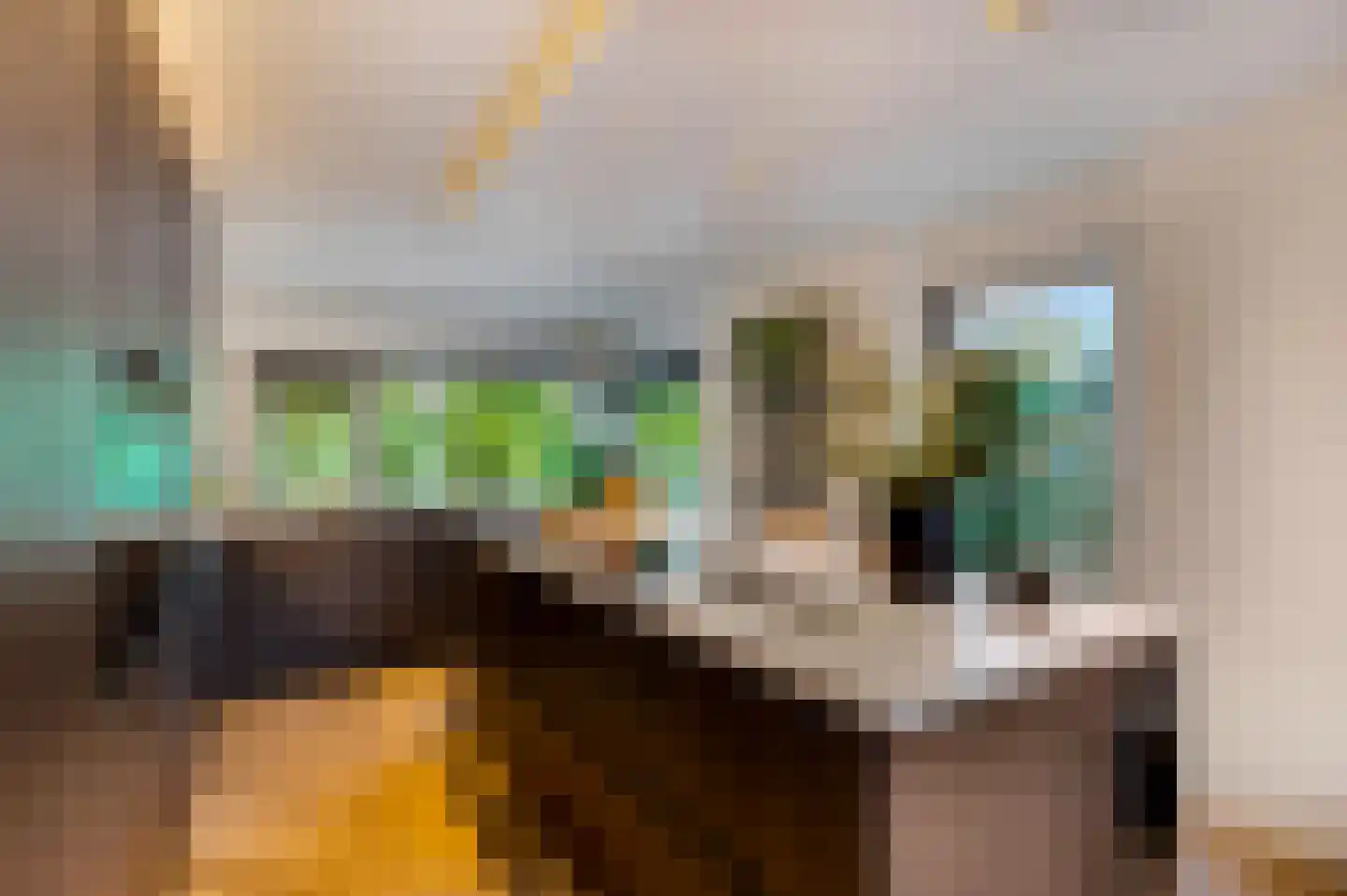 Marene 11 Tiel thumbnail 22