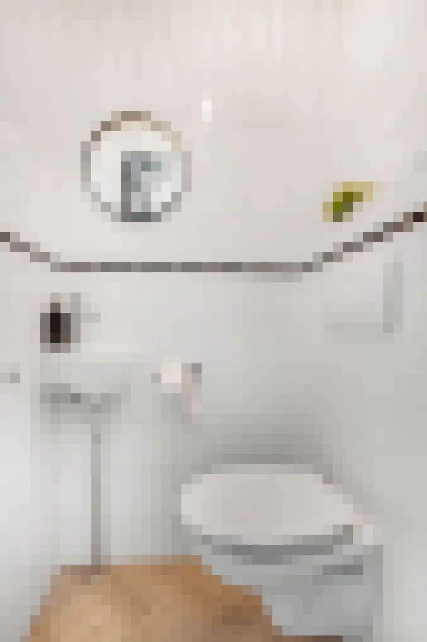 Marene 11 Tiel thumbnail 24