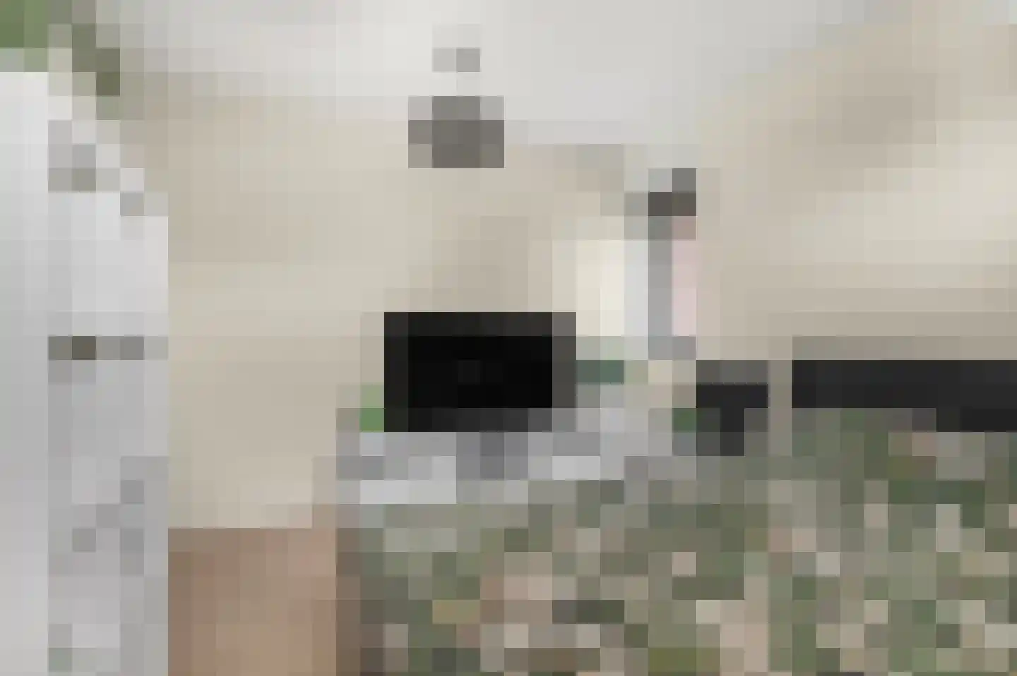 Marene 11 Tiel thumbnail 28