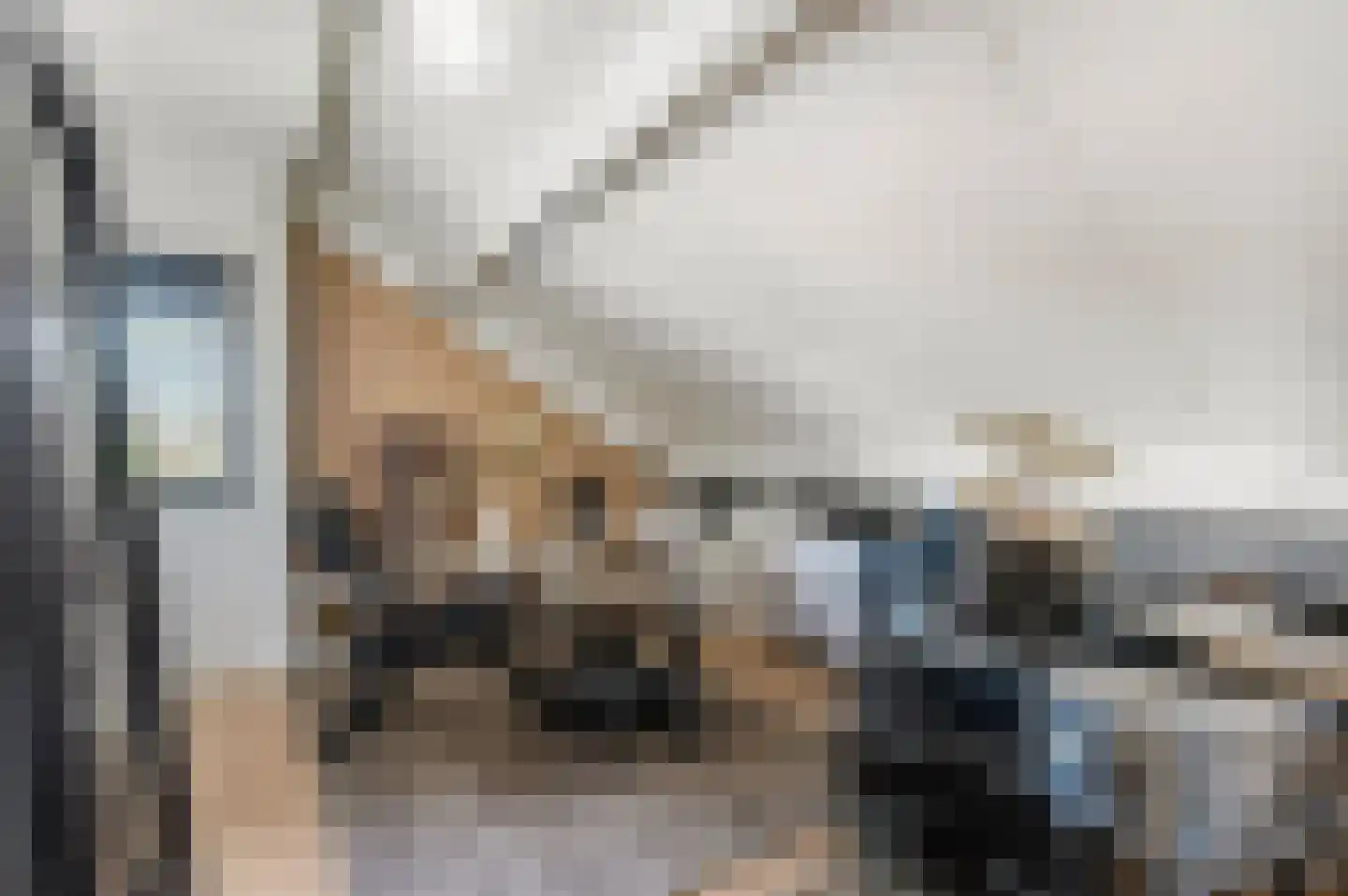 Marene 11 Tiel thumbnail 35