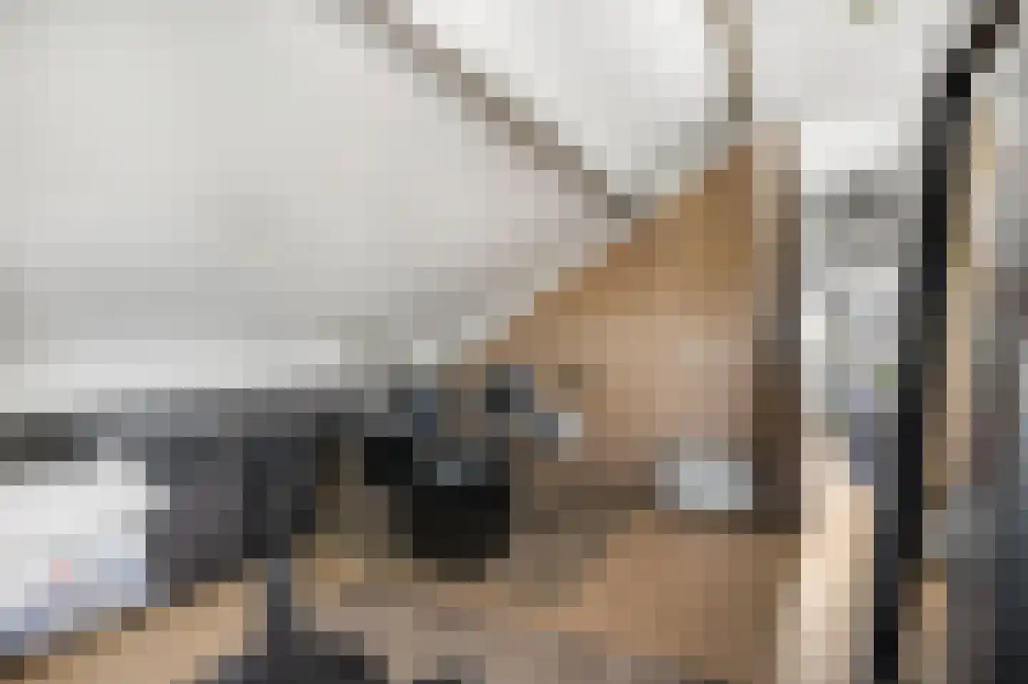 Marene 11 Tiel thumbnail 36