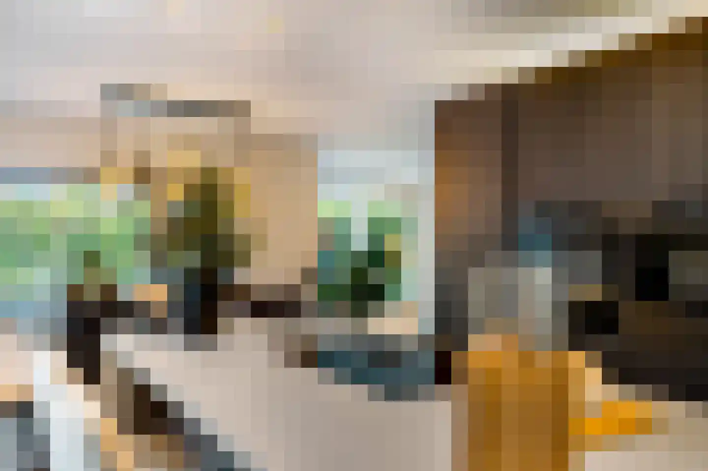 Marene 11 Tiel thumbnail 4