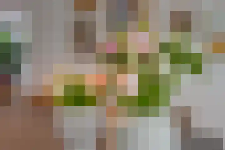 Marene 24 Tiel thumbnail 21