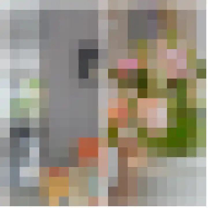 Marene 24 Tiel thumbnail 29