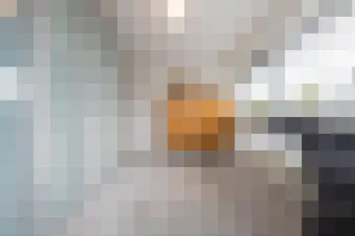 Marene 24 Tiel thumbnail 39