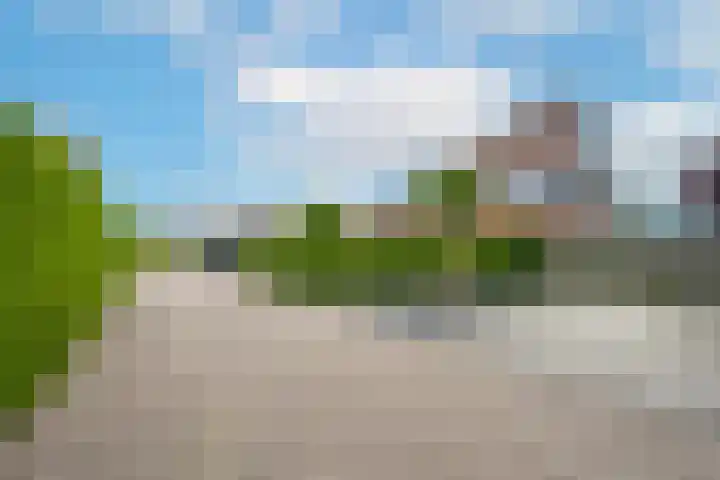 Marene 24 Tiel thumbnail 4