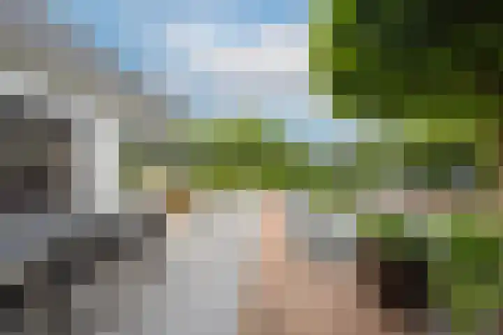 Marene 24 Tiel thumbnail 50