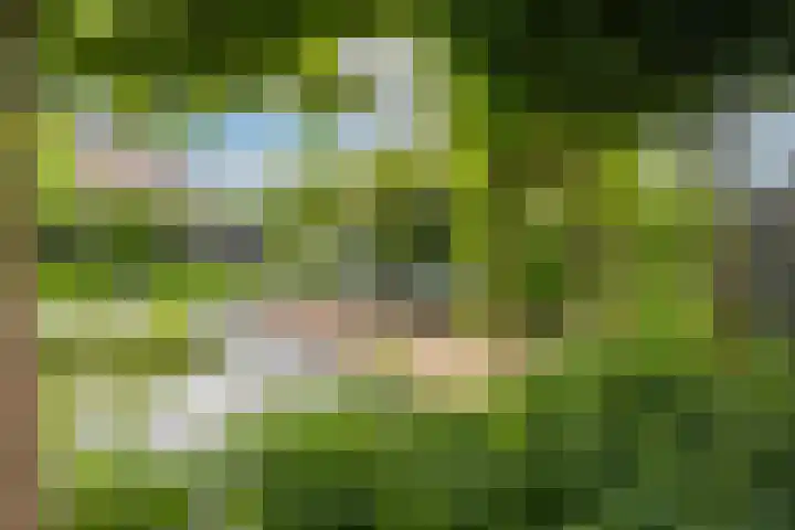 Marene 24 Tiel thumbnail 54