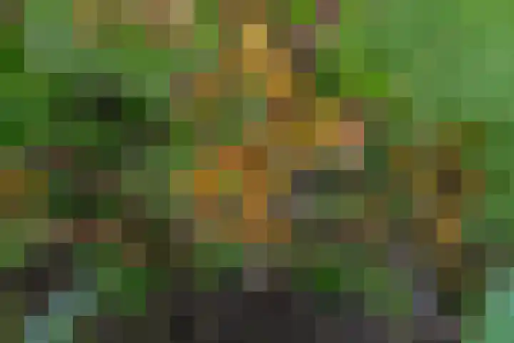 Marene 24 Tiel thumbnail 55
