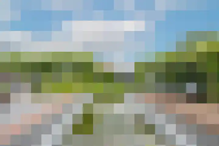Marene 24 Tiel thumbnail 56