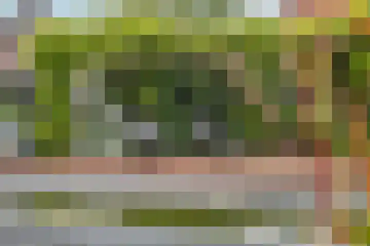 Marene 24 Tiel thumbnail 57