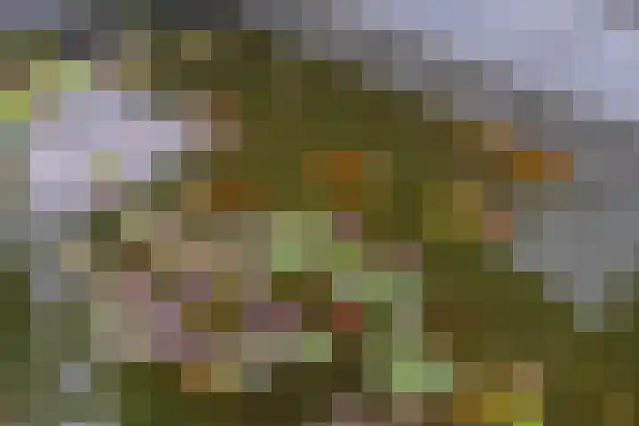 Marene 24 Tiel thumbnail 58