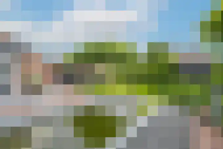Marene 24 Tiel thumbnail 59