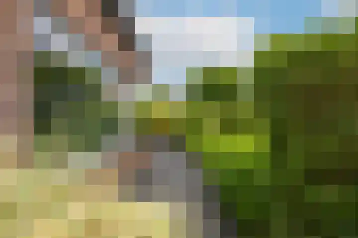 Marene 24 Tiel thumbnail 6