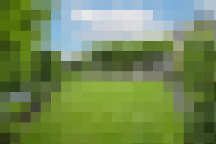 Marene 24 Tiel thumbnail 61