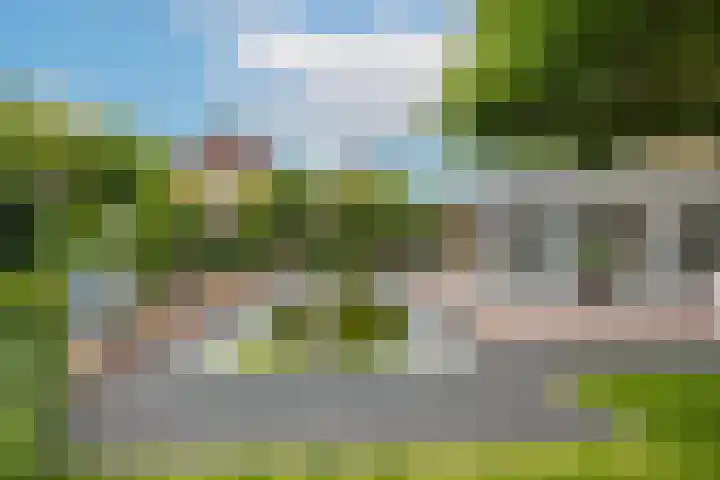 Marene 24 Tiel thumbnail 62