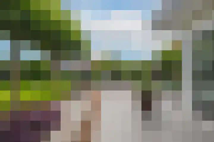 Marene 24 Tiel thumbnail 63