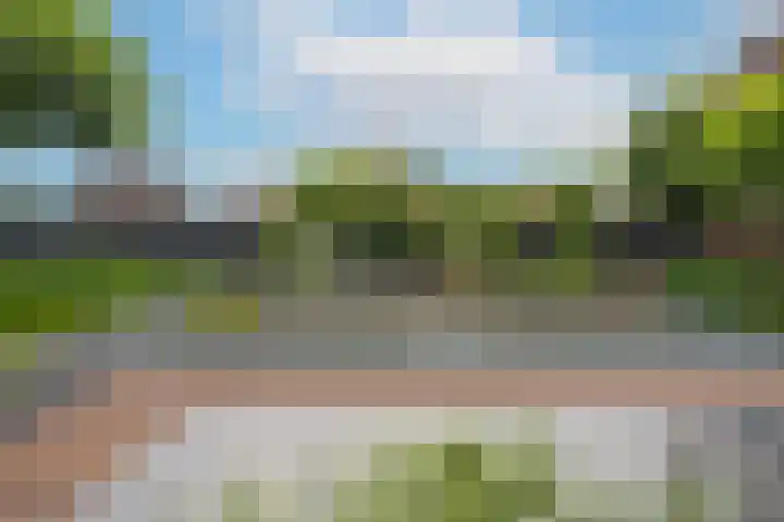 Marene 24 Tiel thumbnail 64
