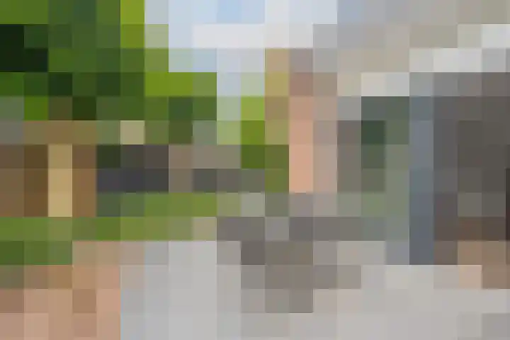 Marene 24 Tiel thumbnail 66