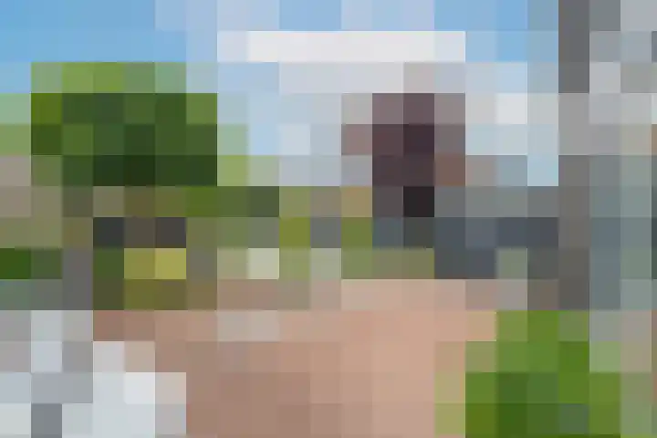Marene 24 Tiel thumbnail 70