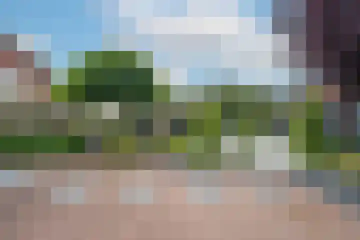 Marene 24 Tiel thumbnail 71