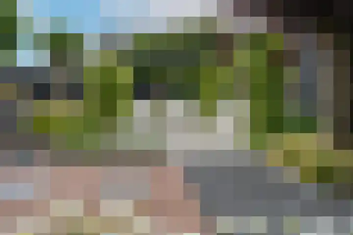 Marene 24 Tiel thumbnail 72