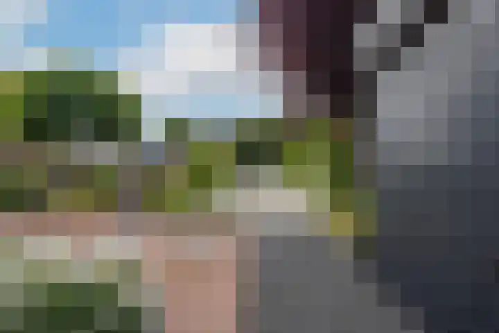 Marene 24 Tiel thumbnail 74