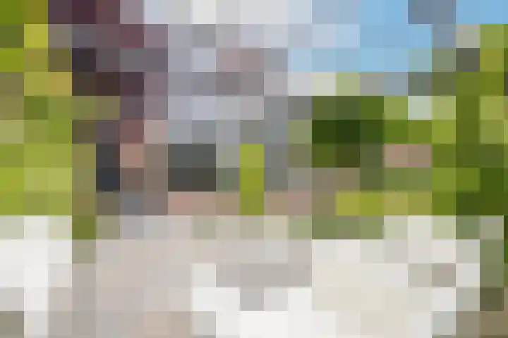 Marene 24 Tiel thumbnail 75