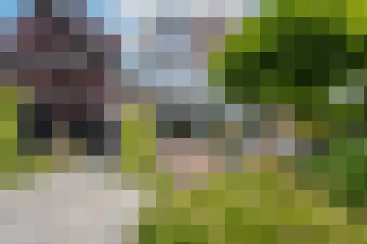 Marene 24 Tiel thumbnail 77