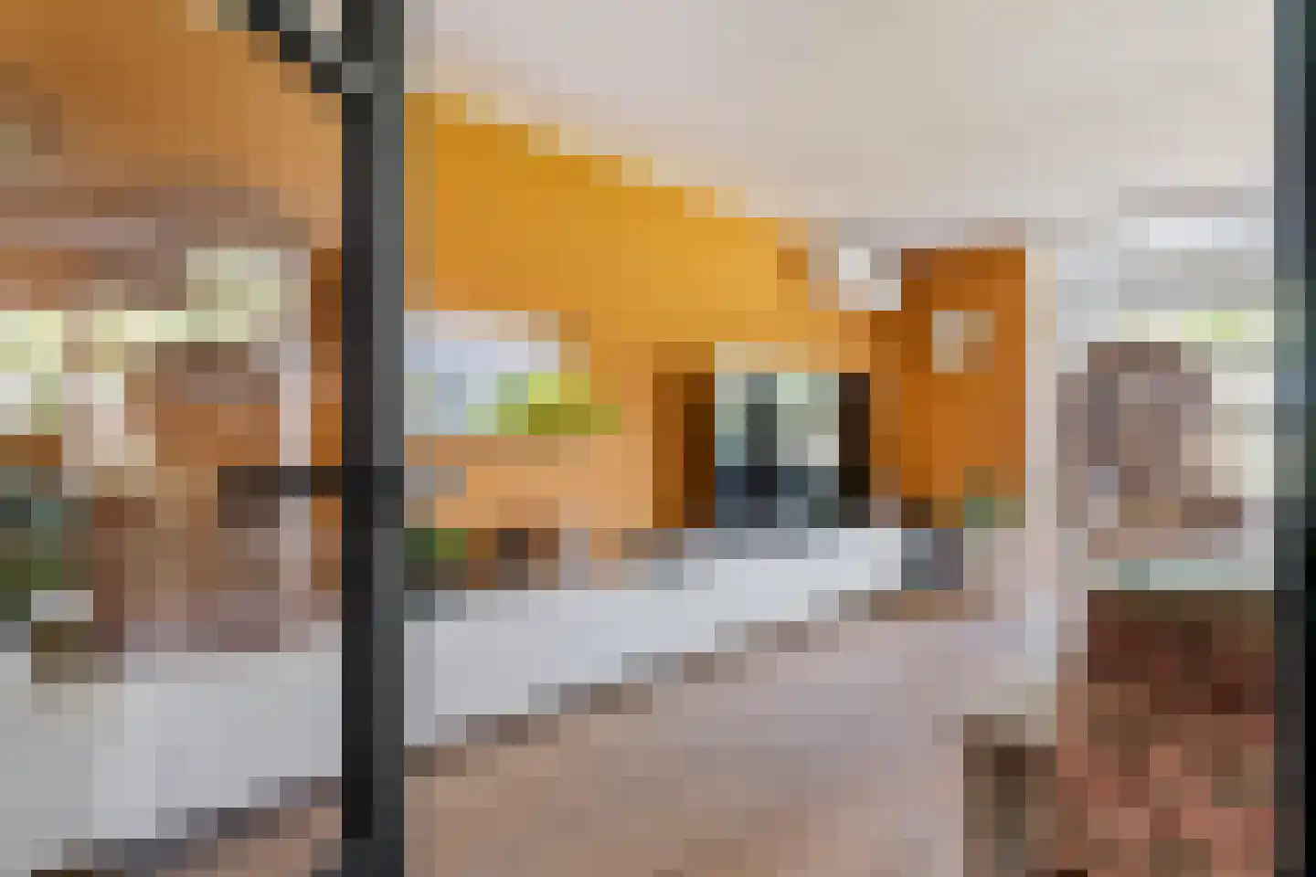 Marene 6 Tiel thumbnail 11