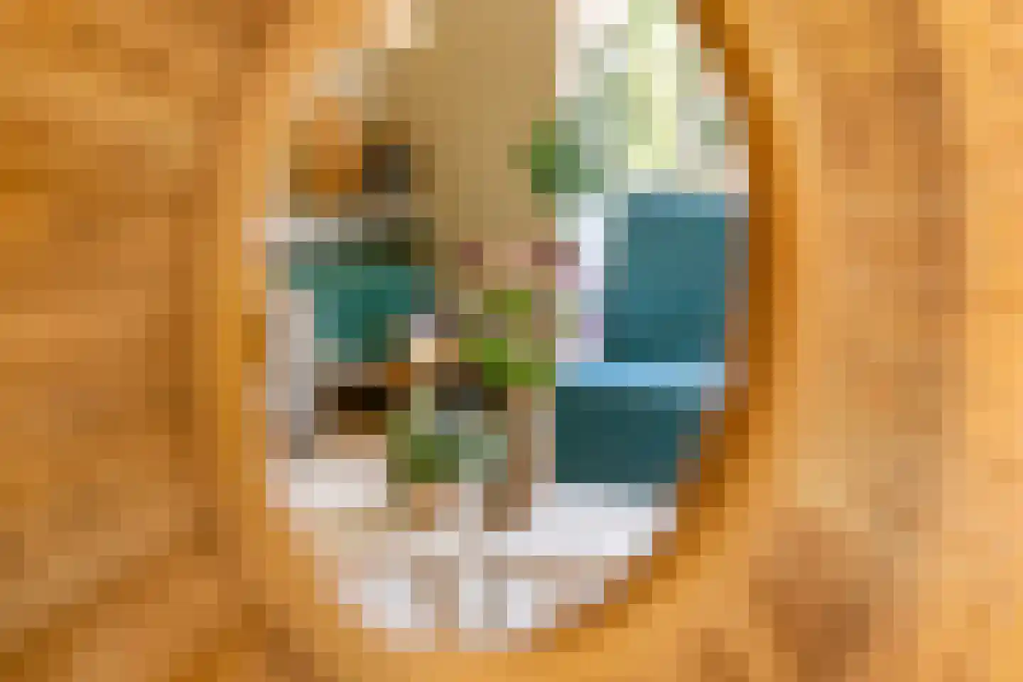 Marene 6 Tiel thumbnail 20