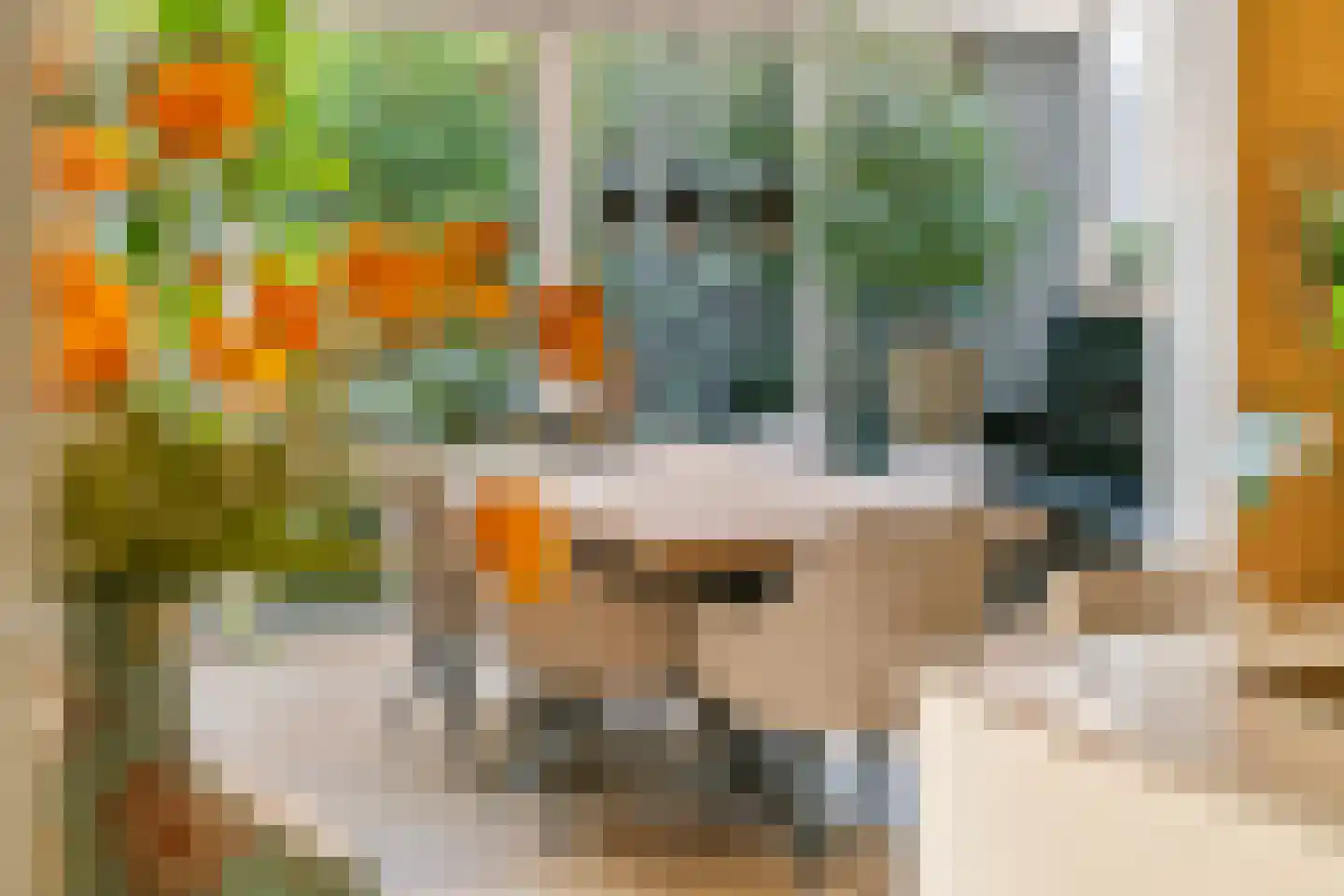 Marene 6 Tiel thumbnail 21
