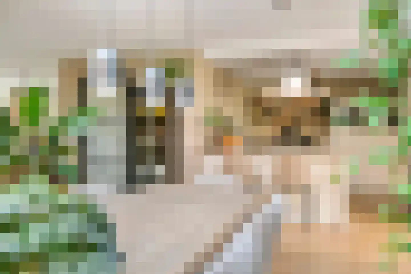 Marene 6 Tiel thumbnail 22