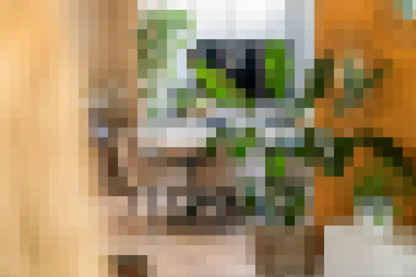 Marene 6 Tiel thumbnail 32