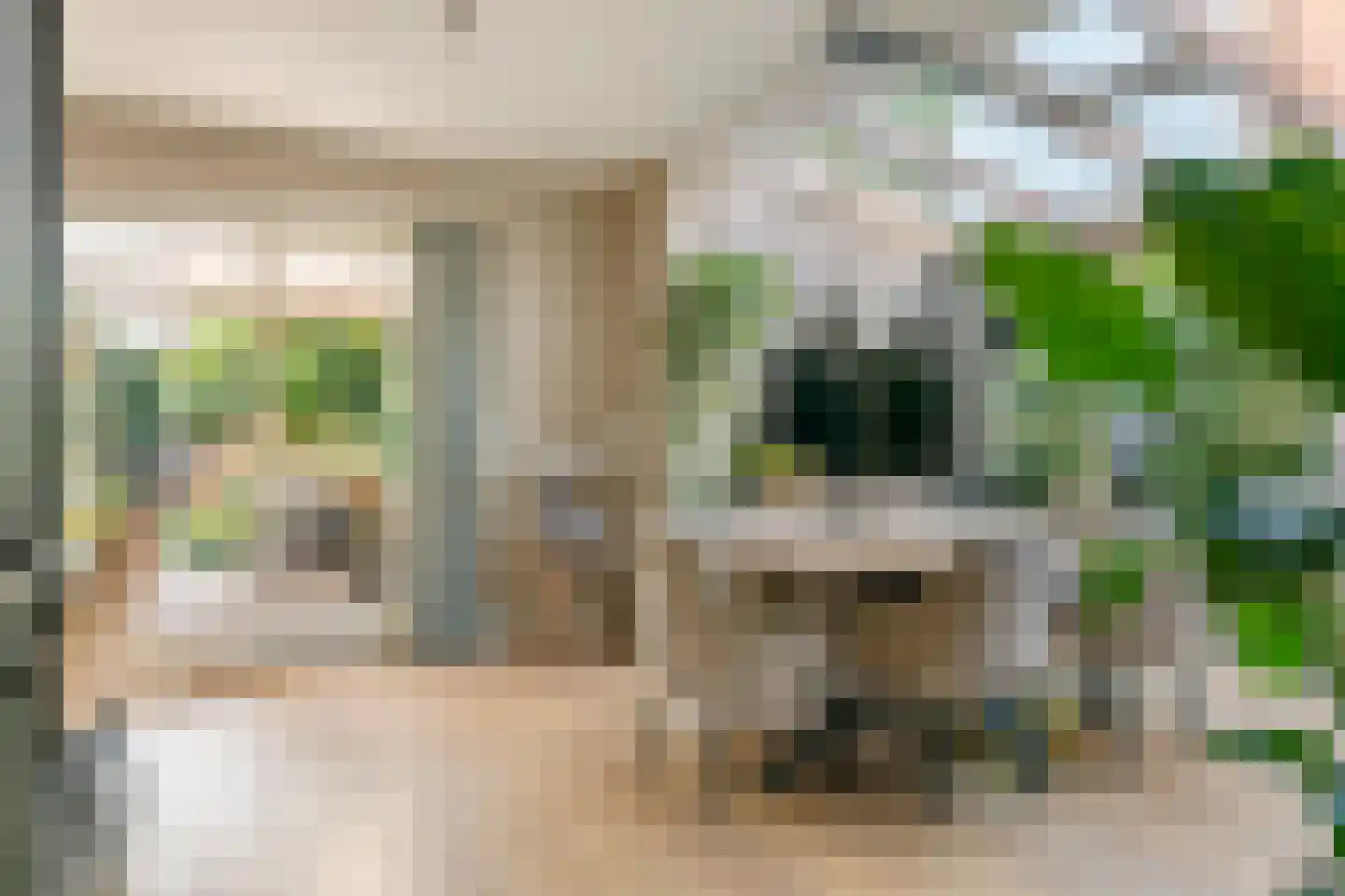 Marene 6 Tiel thumbnail 4