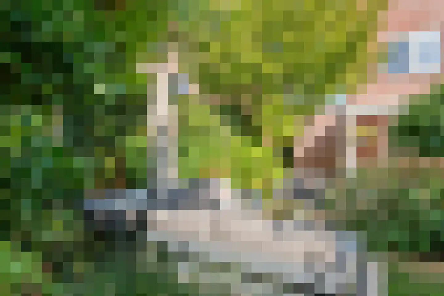 Marene 6 Tiel thumbnail 40