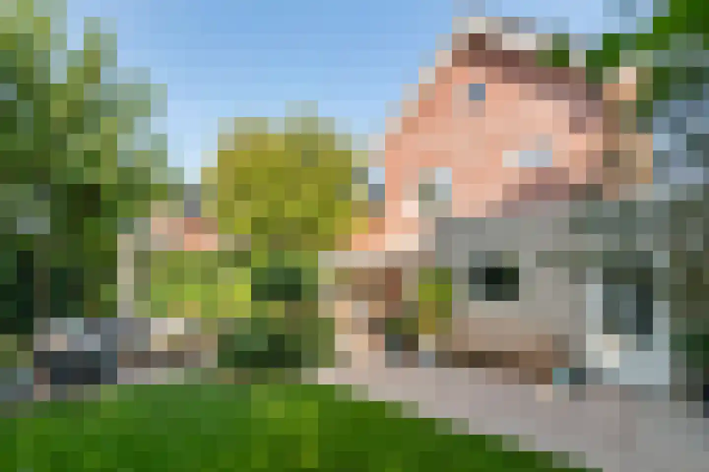 Marene 6 Tiel thumbnail 41